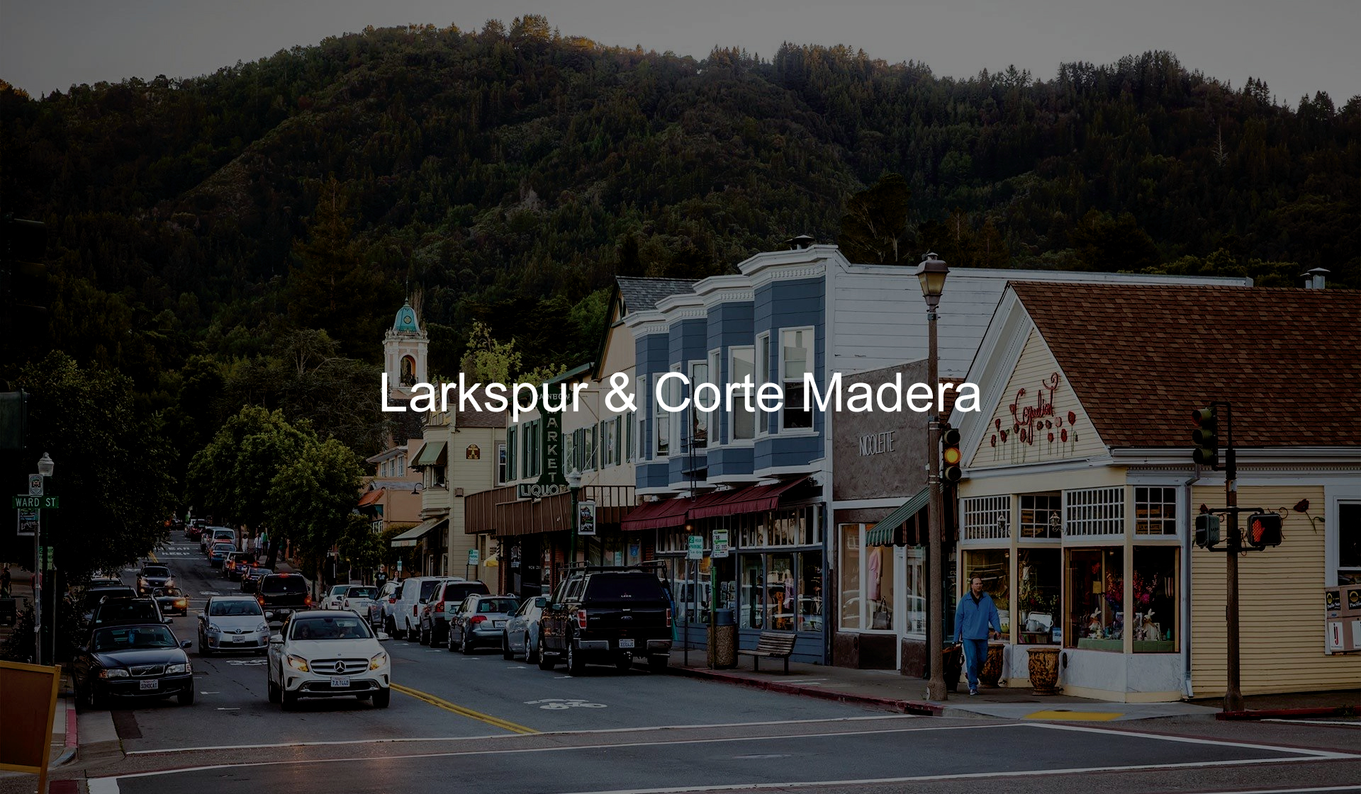 Larkspur-Corte-Madera-CYMK-20-Black-02-10-23