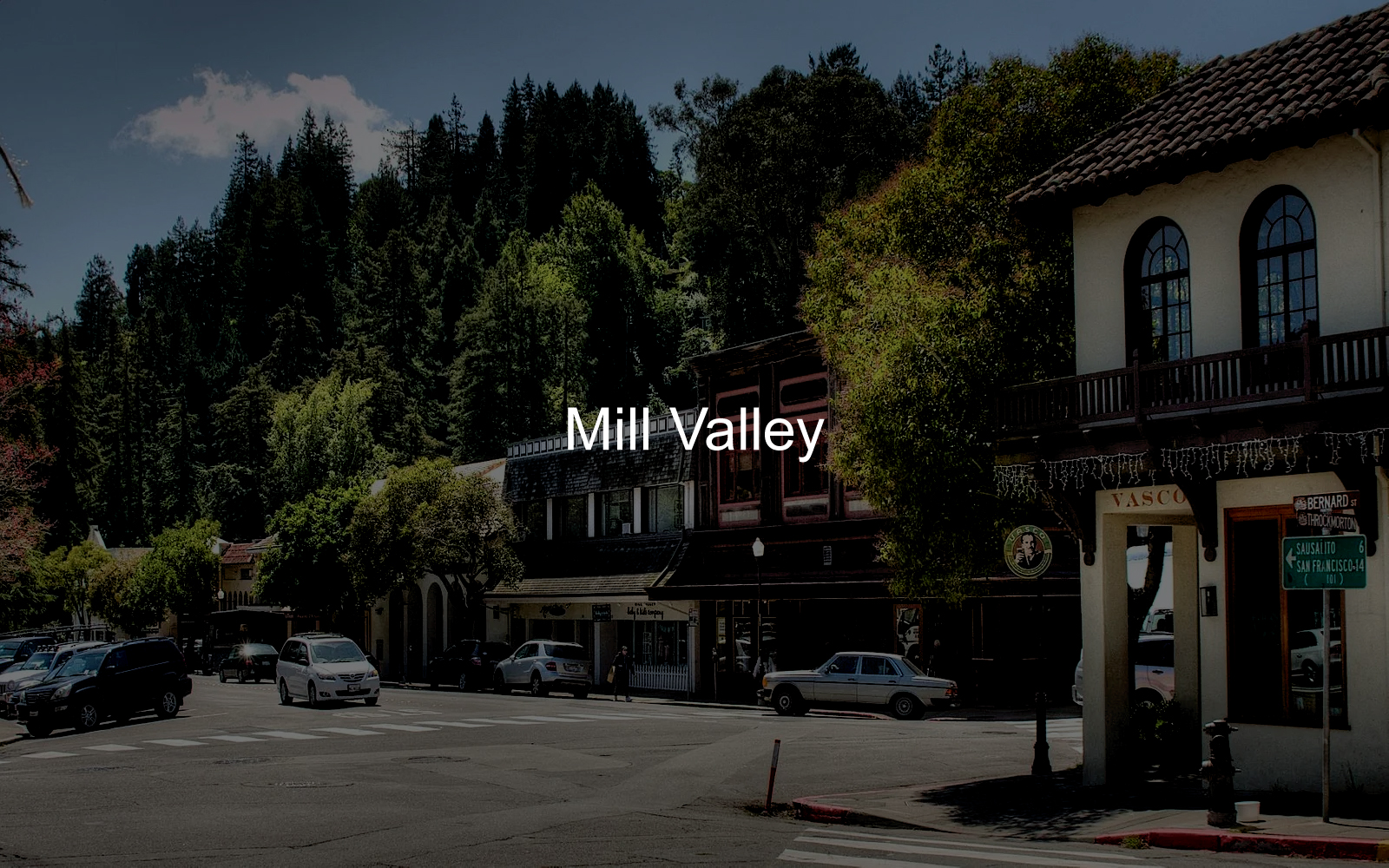 Mill-Valley-CYMK-Arial-Reg-02-10-23