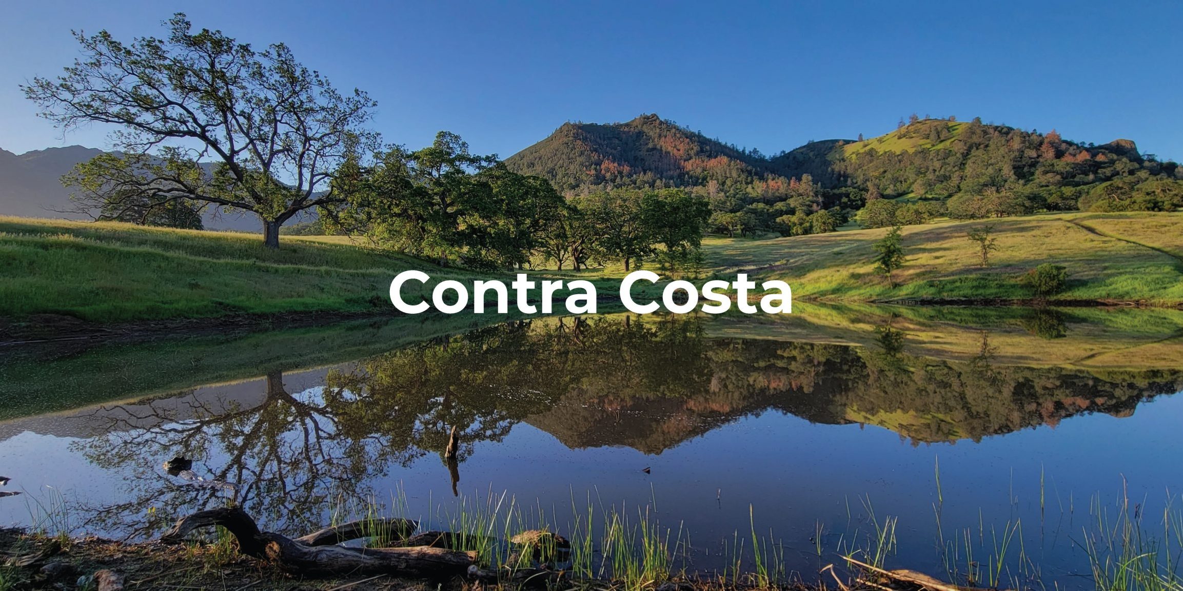 Contra Costa Homes For Sale