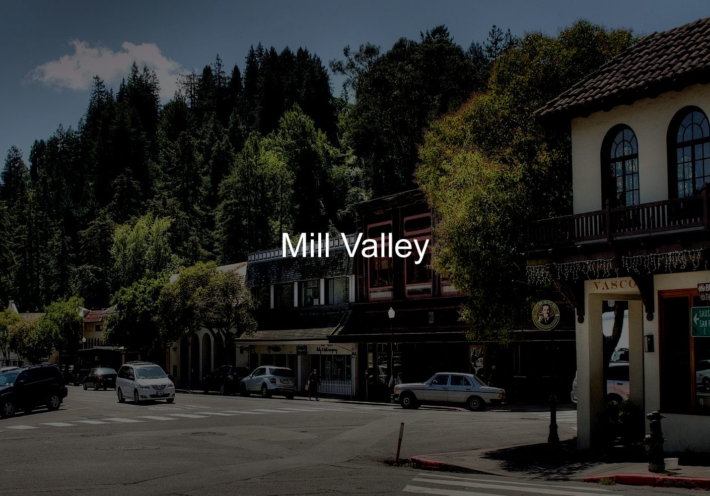 Mill-Valley-CYMK-Arial-Reg-02-10-23
