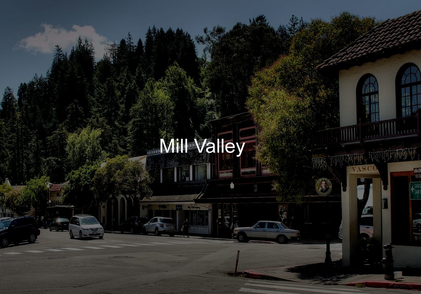 Mill-Valley-CYMK-Arial-Reg-02-10-23